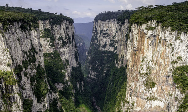 Visita los Cañones de Brasil y sus mejores atractivos, parque nacional Aparados sa Serra y Rio do Boi, disgruta de trekking, canyoning y de la playa de Torres Guarita