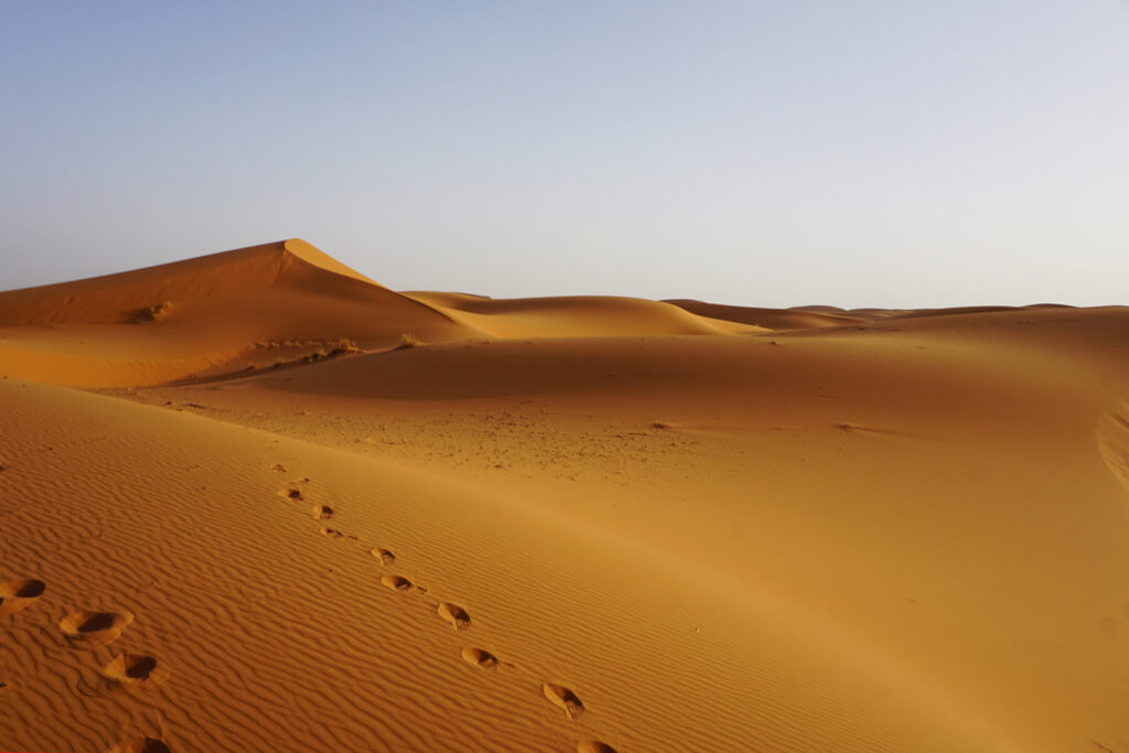 Conoce lo mejor de Marruecos, visita Marrakech, Dades, Desierto de Sahara, Fez, Chefchaouen, Rabat, Casablanca e impresionate con dunas, medinas y mucho más!