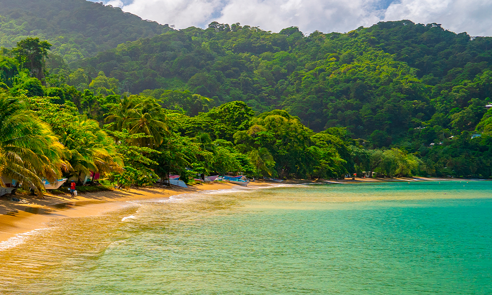 Viaje en grupo a Paraty en Río de Janeiro en Brasil